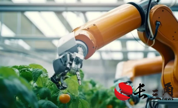 人工智能重塑糧食產業價值鏈